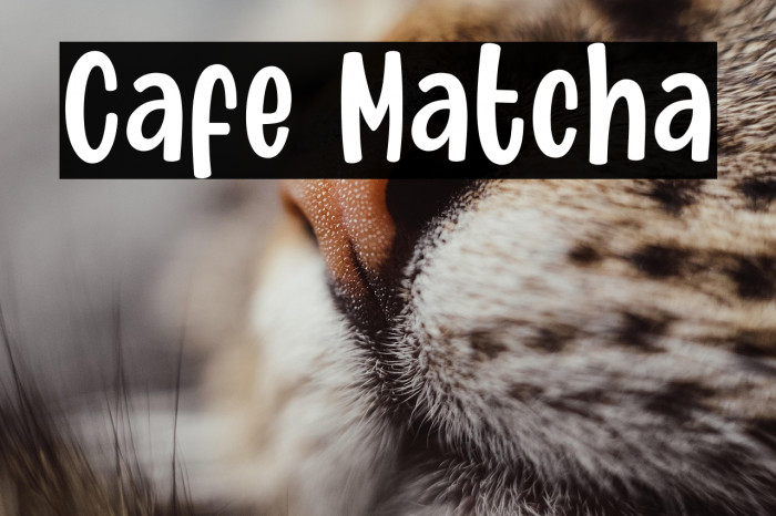Cafe Matcha Example 2