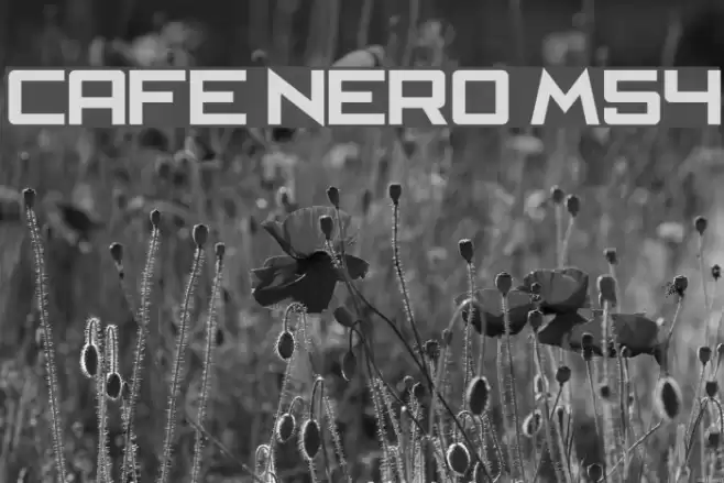Cafe Nero M54 Caratteri examples