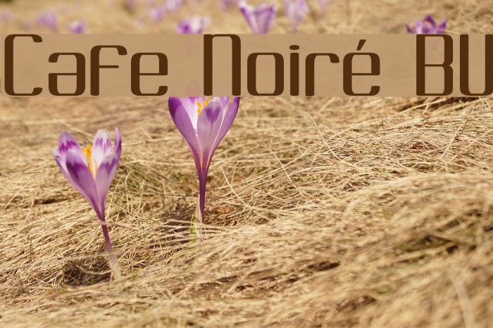 Cafe Noiré BV Font examples