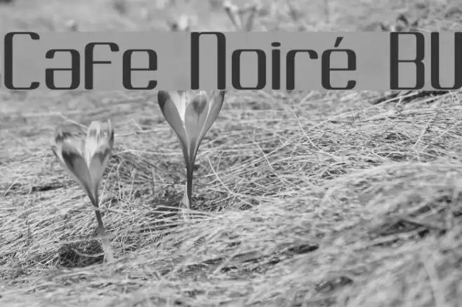 Cafe Noiré BV Fuentes examples