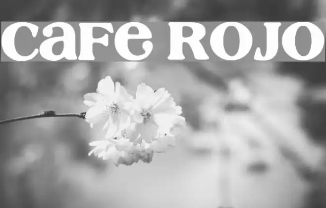 Cafe Rojo Font examples