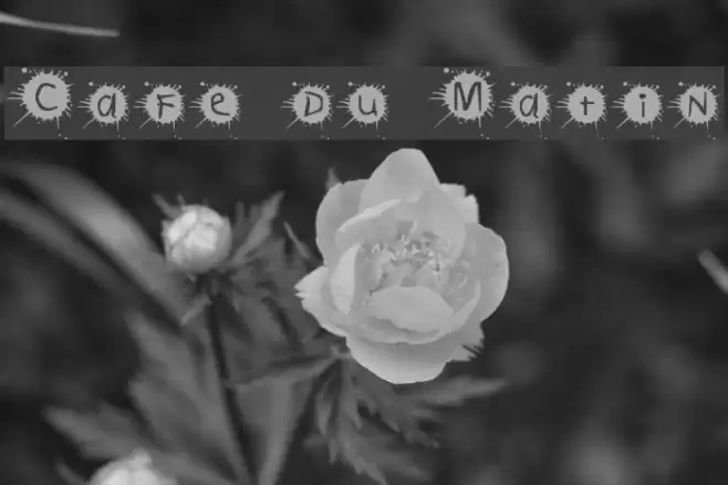 Cafe du Matin Font examples