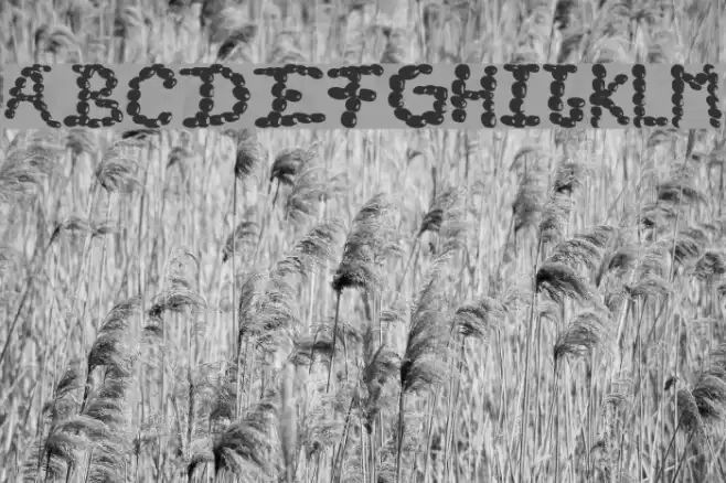 CafeTime Caratteri examples