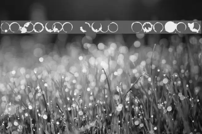 Cafeina Dig_v2  Normal Caratteri examples