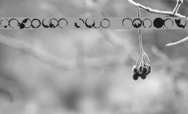 Cafeina Dig_v2  Normal Caratteri examples