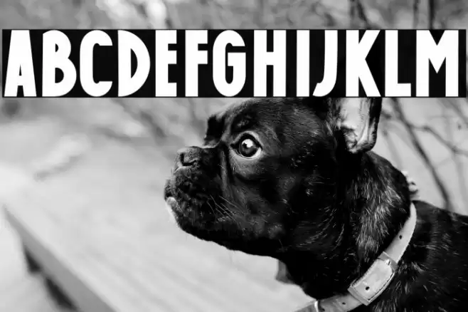 Caffe Bold Schriftart examples