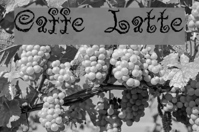 Caffe Latte フォント examples