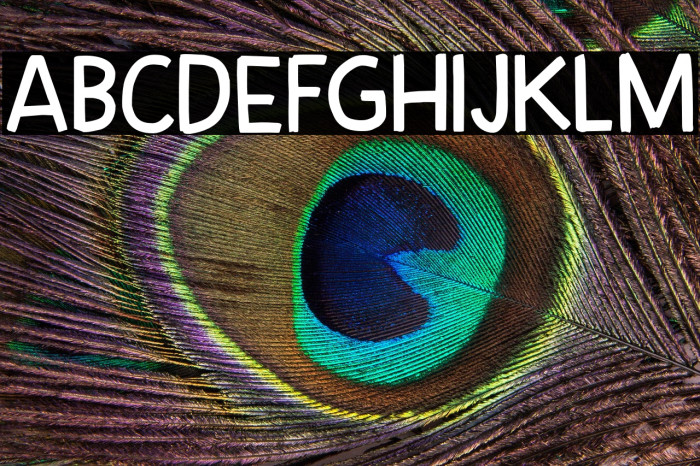 CaffeLungoDEMO-Regular Example 2