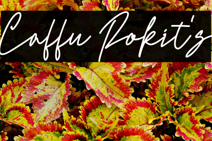 Caffu Rokit's Example 1