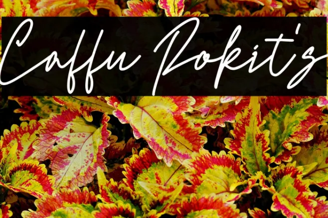 Caffu Rokit's Example 1