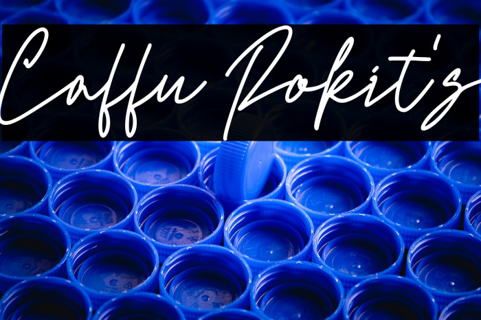 Caffu Rokit's Example 2