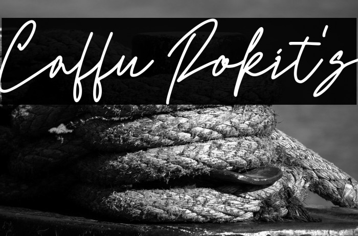 Caffu Rokit's Example 3