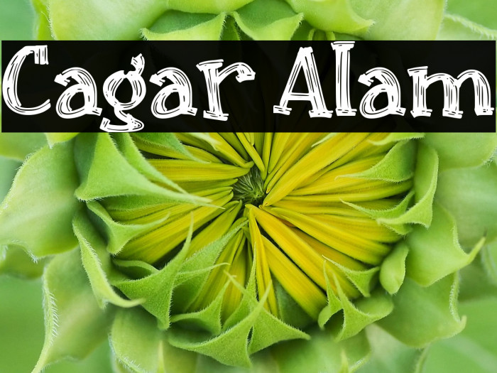 Cagar Alam Example 2
