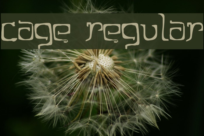 Cage Regular Font examples