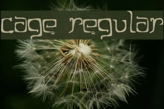 Cage Regular Example 1