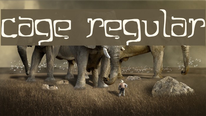 Cage Regular Font examples
