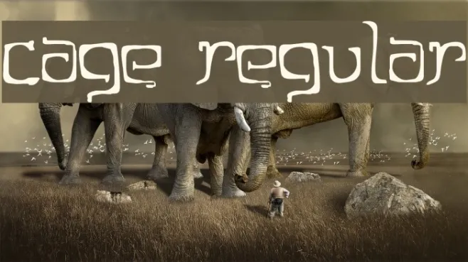 Cage Regular Example 2
