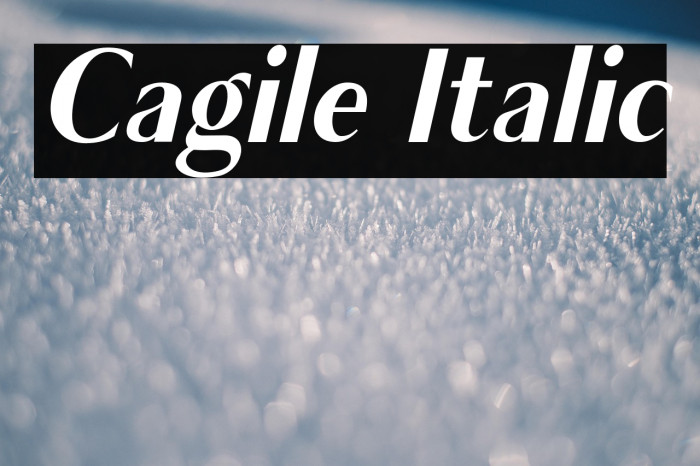 Cagile Italic Example 2