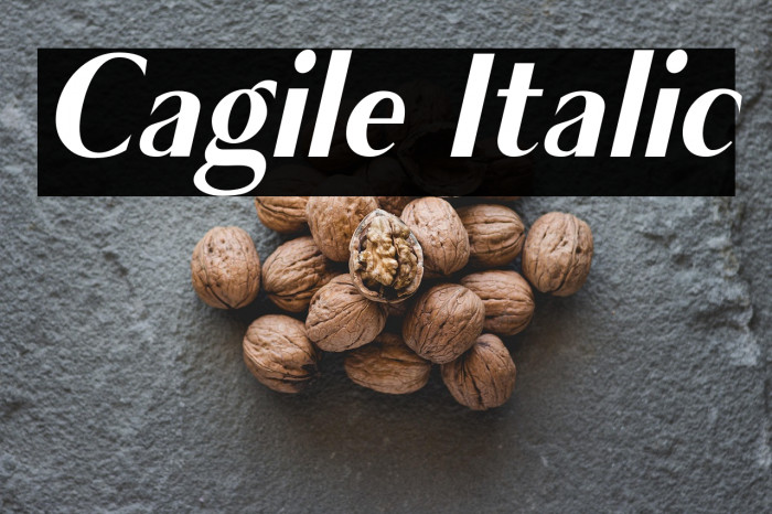 Cagile Italic Example 3