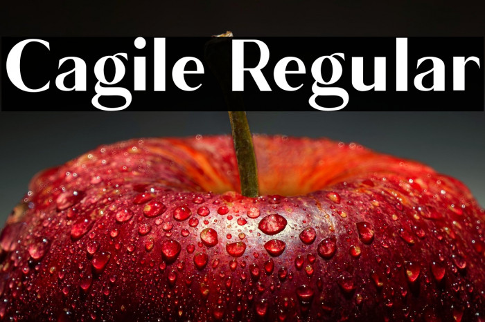 Cagile Regular Example 1