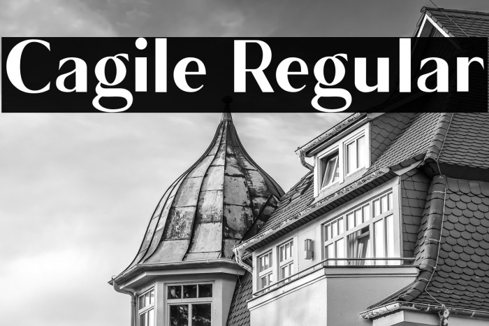 Cagile Regular Example 2