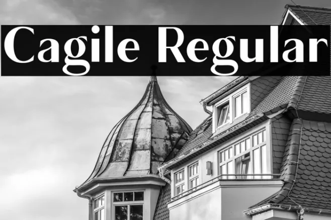 Cagile Regular Example 2