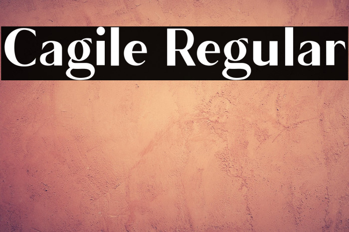 Cagile Regular Example 3