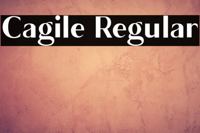 Cagile Regular Example 3