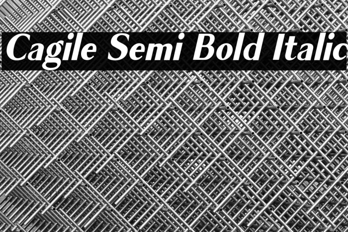 Cagile Semi Bold Italic Example 1
