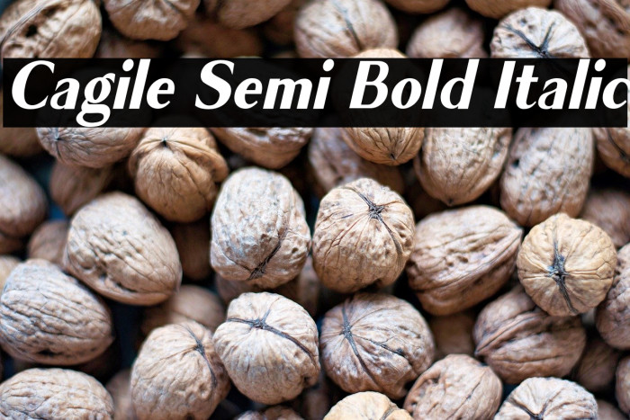 Cagile Semi Bold Italic Example 2