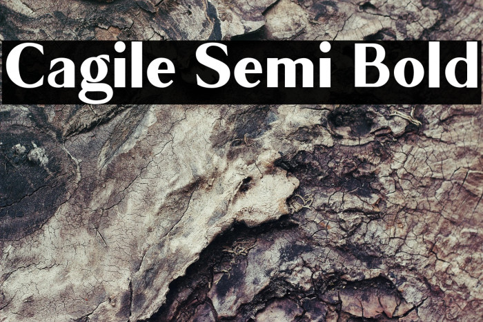 Cagile Semi Bold Example 1