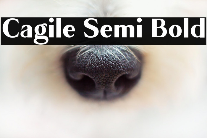 Cagile Semi Bold Example 3