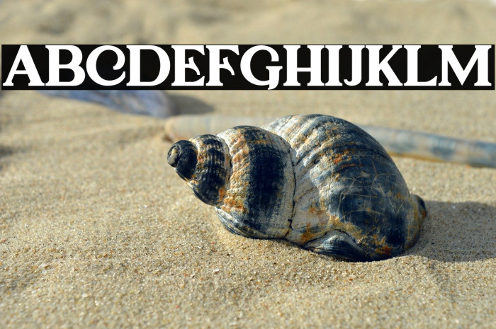 CagouleDEMO-Regular Example 1