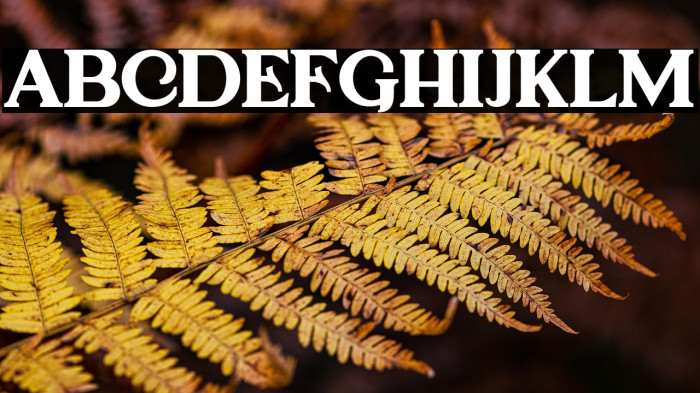 CagouleDEMO-Regular Example 3