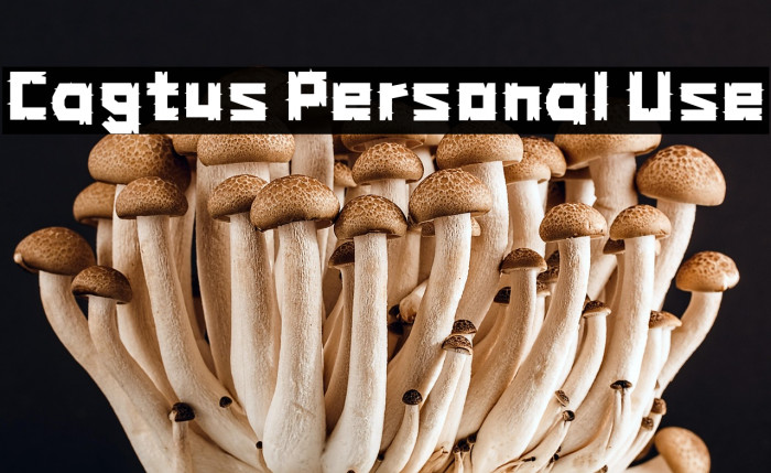 Cagtus Personal Use Example 1