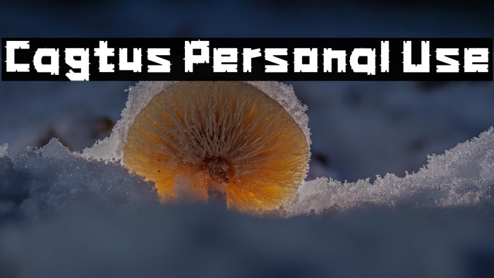 Cagtus Personal Use Example 2