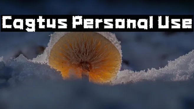 Cagtus Personal Use Example 2