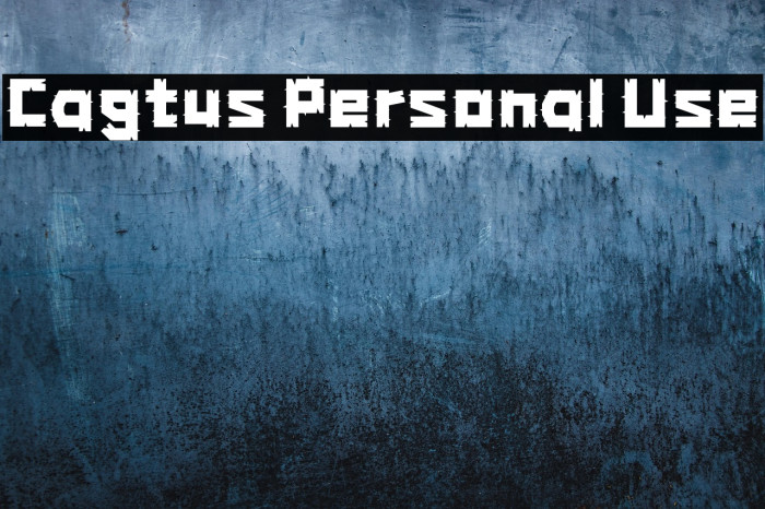 Cagtus Personal Use Example 3