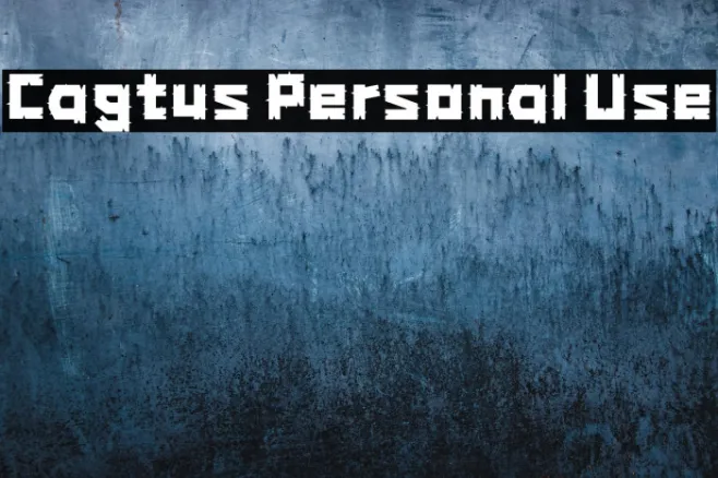 Cagtus Personal Use Example 3