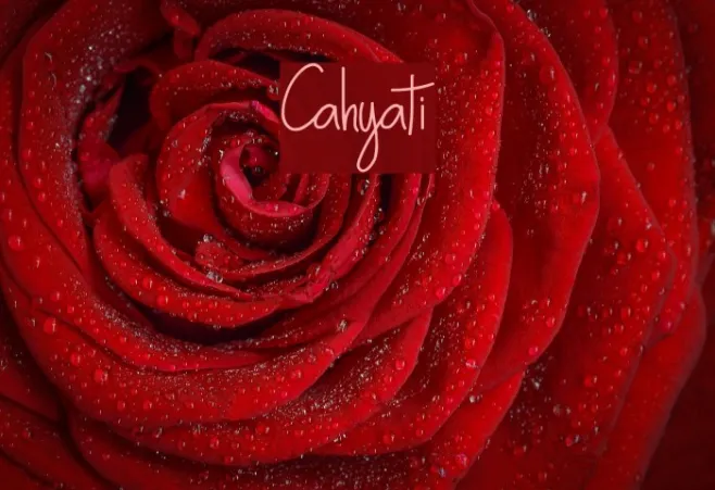 Cahyati Example 2