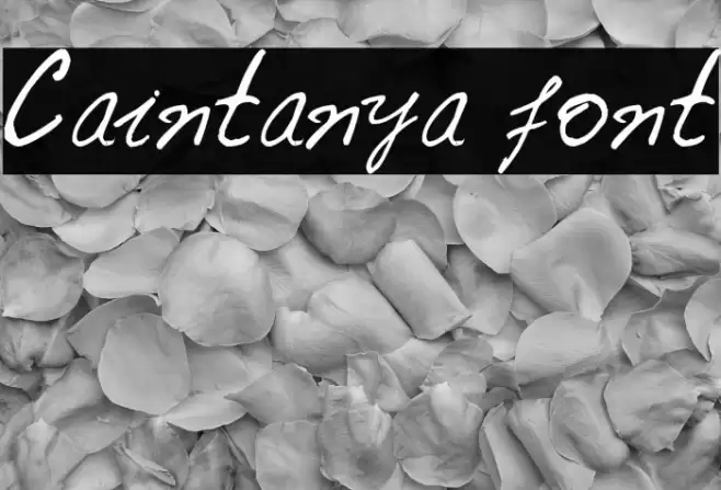 Caintanya font Schriftart examples