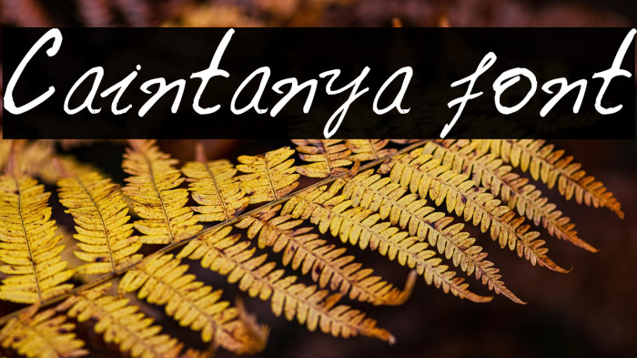 Caintanya font Example 3