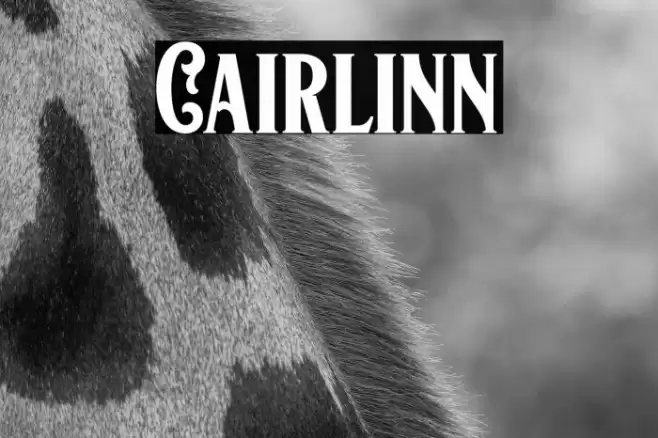Cairlinn Font examples
