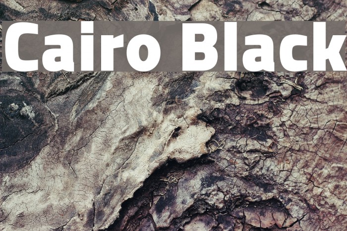 Cairo Black Font examples