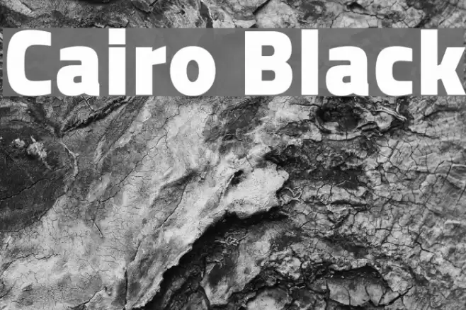 Cairo Black Font examples