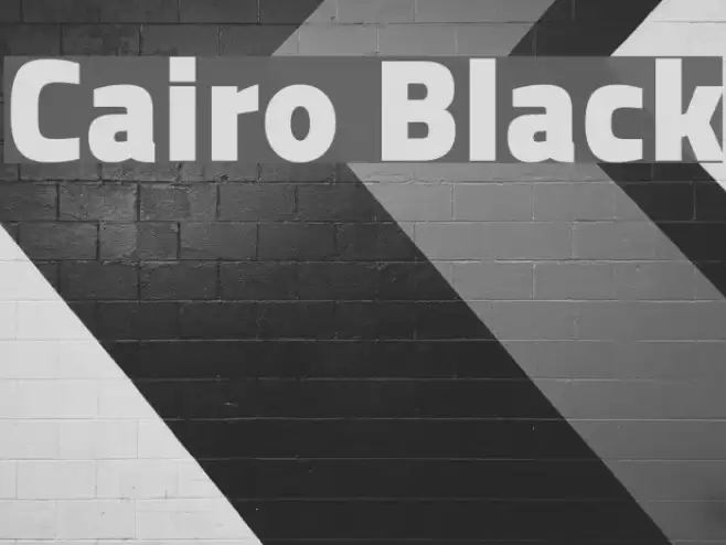 Cairo Black Font examples