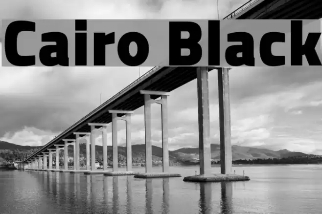Cairo Black Font examples