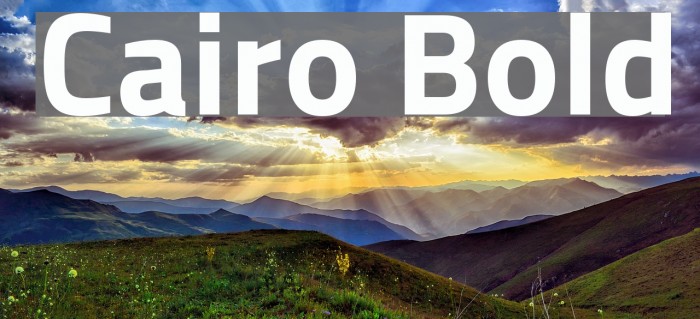 Cairo Bold Font examples