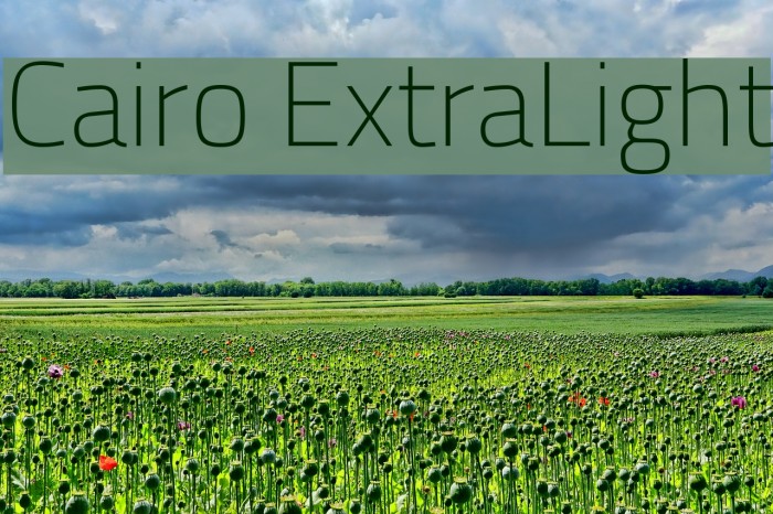 Cairo ExtraLight Font examples