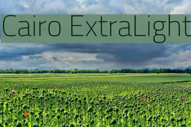 Cairo ExtraLight Example 1